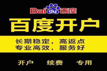 SEM服务助力企业快速增长案例